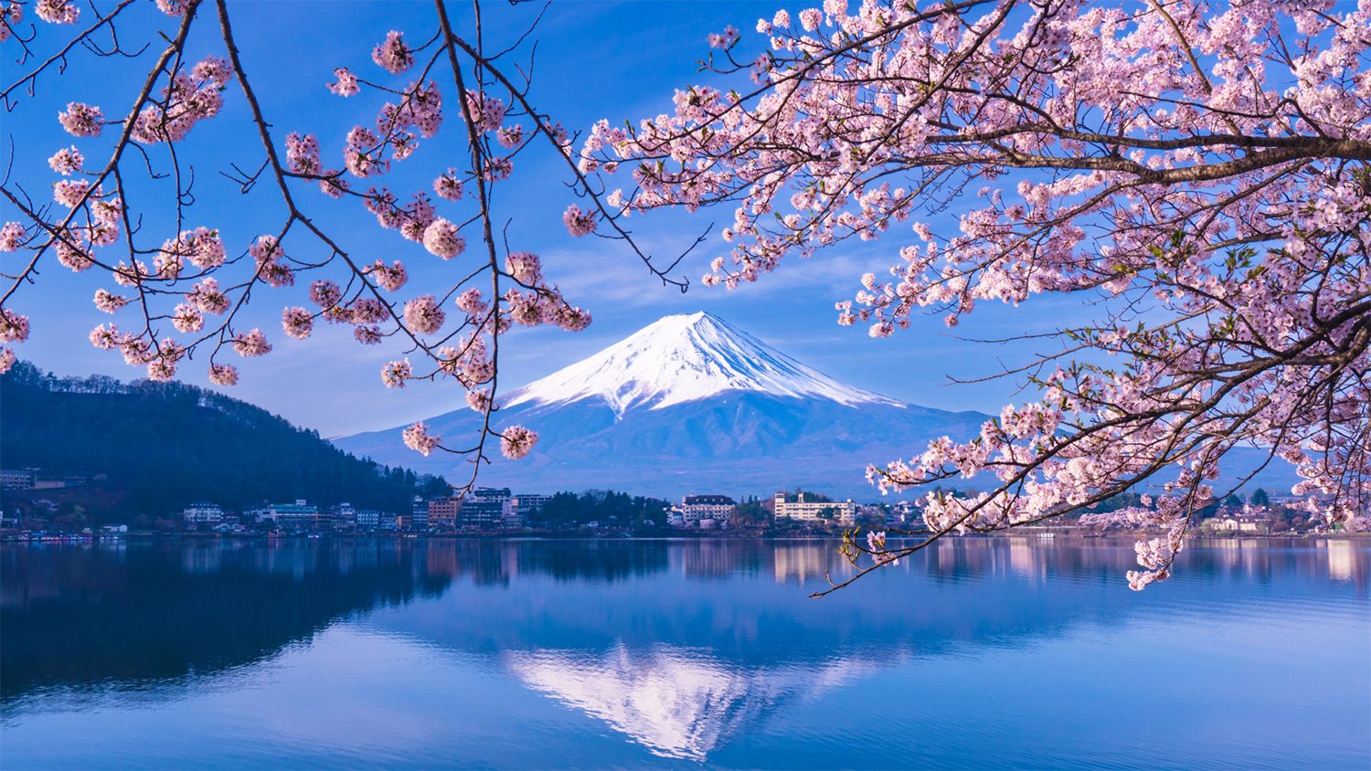 富士山の春