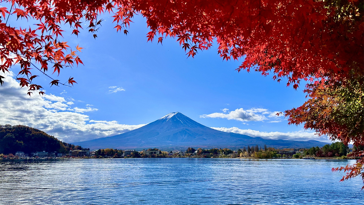 富士山の秋